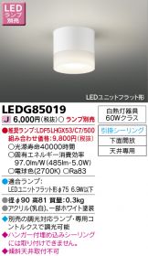 LEDG85019