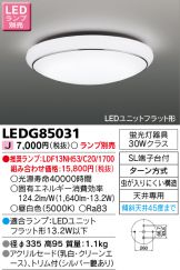 LEDG85031