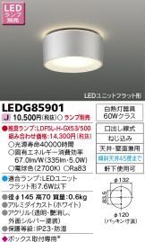 LEDG85901