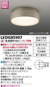 LEDG85907