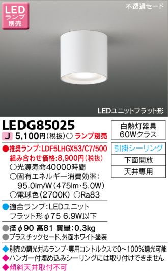 LEDG85025