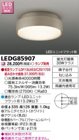 LEDG85907