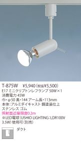 T-875W