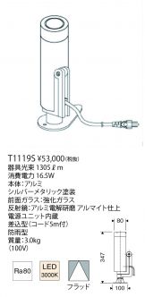 T1119S