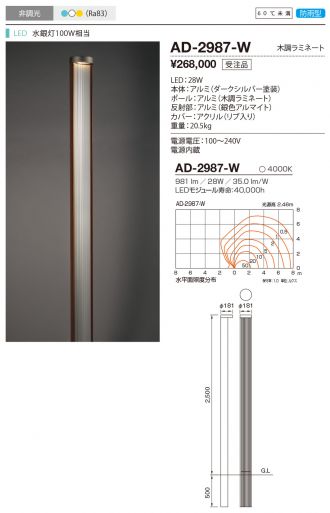 AD-2987-W