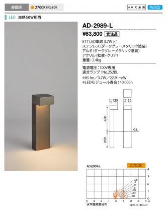 AD-2989-L