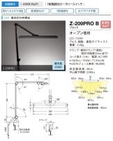 Z-209PROB