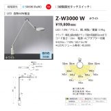 Z-W3000W