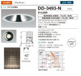 DD-3493-N
